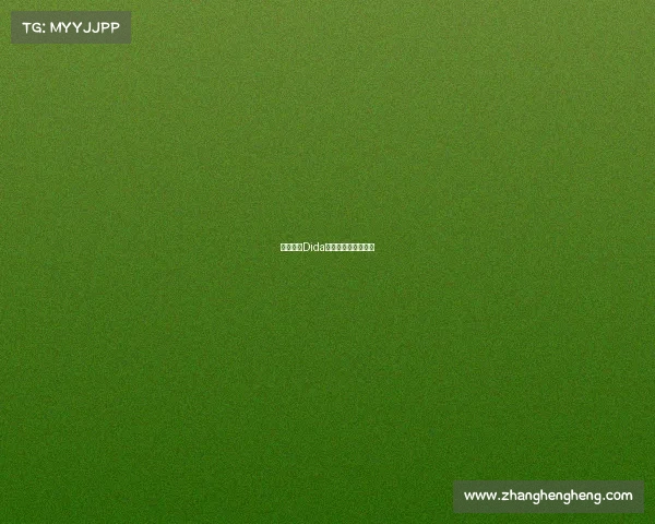 王牌猎手Dida天霸战队的制胜法则 王牌猎手Dida天霸战队的制胜法则